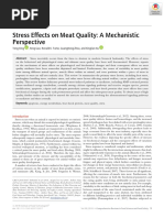 Stress Effects On Meat Quality: A Mechanistic Perspective