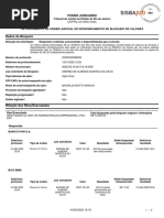 Detalhamento Sisbajud Michelle X AMS 130