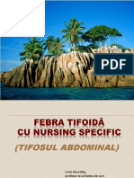 Febra Tifoida