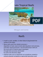 Carbonate Tropical Reefs: Morgan and Jamie