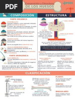 Composición y Estructura de Los Huesos