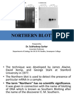 Northern Blotting Ss