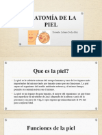 Anatomía de La Piel