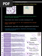 Clostridium Perfringens Gangrene