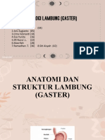 Anfis Lambung 2