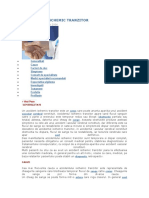 Accidentul Ischemic Tranzitor