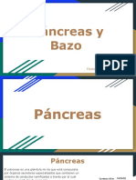 Páncreas y Bazo