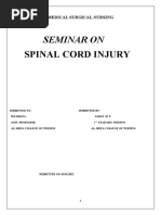 Spinal Cord Injury