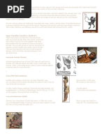 Tattoo Museum Bibliography, Resources and Links: Upper Paleolithic (10,000 To 38,000 BC)