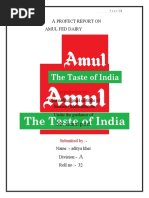 Amul Final Project Report