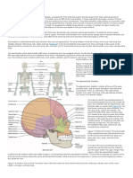 Anatomy Midterm 2