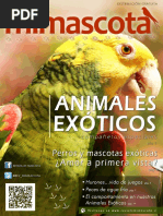 Revista Mimascota 2da Edicion Animales Exoticos Companeros Especiales