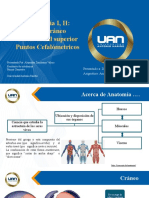 Osteologia y Punto Cefalometricos