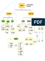 Mapa Protozoos