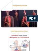 Sistema Respiratório 1 2019.03