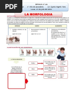 La Morfologia