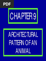 Architectural Pattern of An Animal