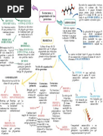 Mapa Mental