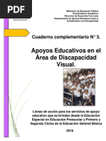 PDD. Cuaderno Complementario Discapacidad Visual