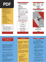 Triptico de Licenciatura en Ciencia Política