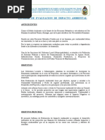 005 Informe de Evaluacion de Impacto Ambiental