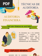 Tecnicas de La Auditoria