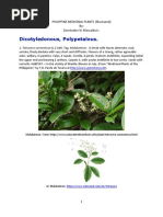 Philippine Medicinal Plants Illustrated