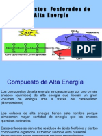 Exposicion de Biokimica )