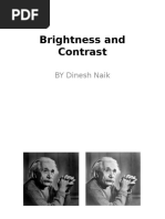 Brightness and Contrast-L10