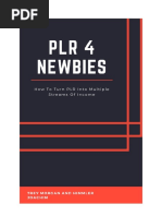 PLR 4 Newbies