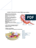 Recuperación de Biologia (Segunda Evaluación)