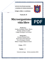 Practica 10 - Microorganismos de Vida Libre - Eq 6 - 1IV2