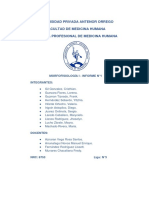 Informe Semana 2 Morfofisiologia I