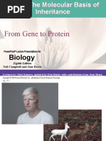 From Gene To Protein: Biology