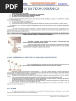 Termodinâmica (2o. e 3o. Princípios