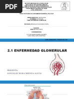 Expo - Enfermedad Glomerular