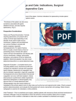 Splenectomy in Dogs and Cats: Indications, Surgical Technique, and Postoperative Care