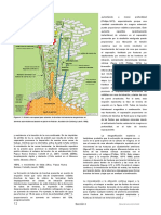 Pag 12-17.en - Es