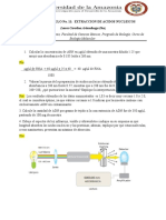 Taller Capitulo 11 - Extracciòn de Acidos Nucleicos