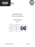 Calculo Integral 1.1...