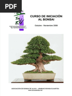 Curso Bonsai Quercus 2008