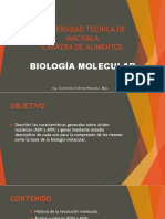 Diapositiva Unidas 1