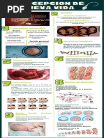 Infografia Grupo 13