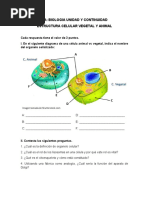 4.1. Evidencia - Estructura Celular Vegetal y Animal