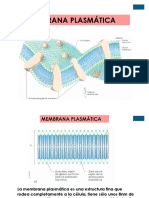 02 Membrana Citoplasmatica