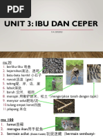 Unit 3 Ibu Dan Ceper-Maksud Perkataan