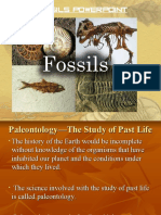 Fossils PowerPoint 2018 EE