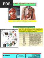 Anatomìa UNO-UNO-PARTE-CEPRE-ENERO 2022-1