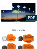 Fases Lunares en La Agricultura