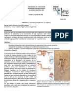 Práctica 3. Sistemática-Introducción-a-la-cladística